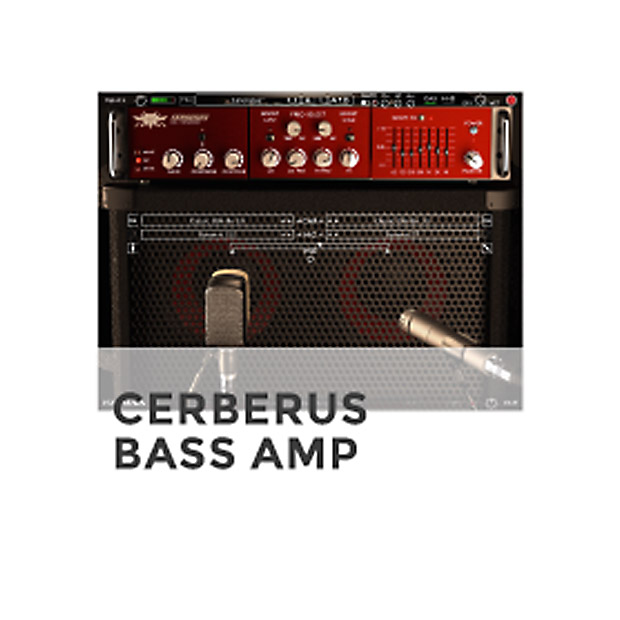 cerberus bass amp